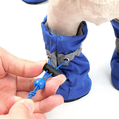 Elegant Dog boots for winter