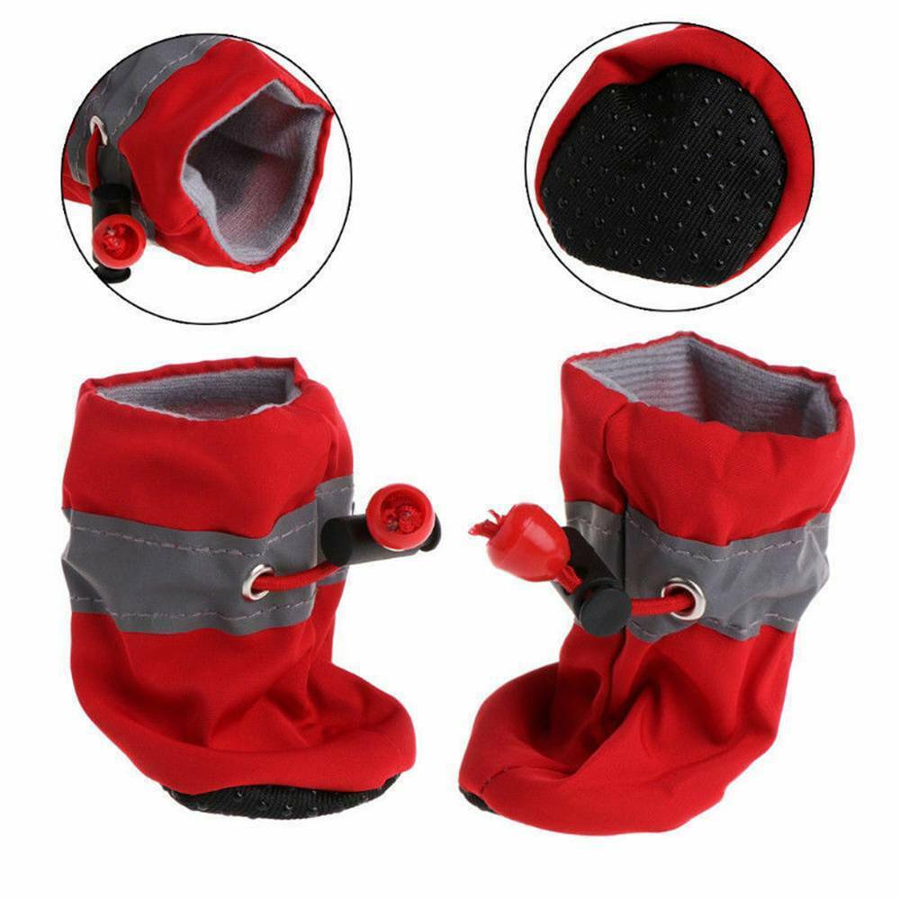 Elegant Dog boots for winter